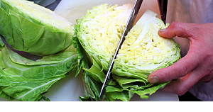 キャベツの調理写真